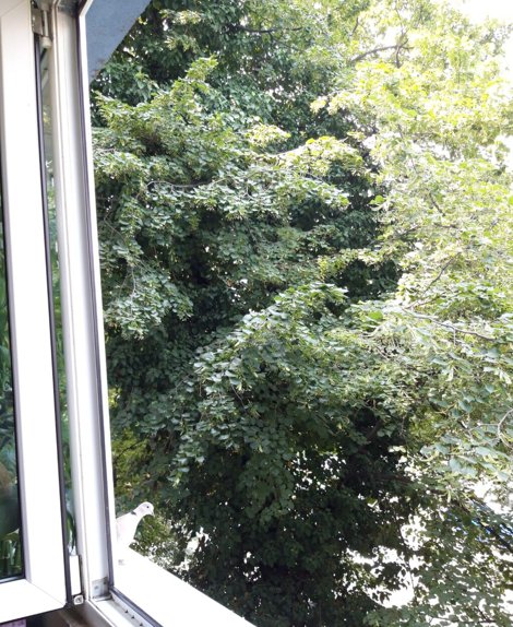 Apartament 3 camere Zona Mihai Bravu etaj 2/4