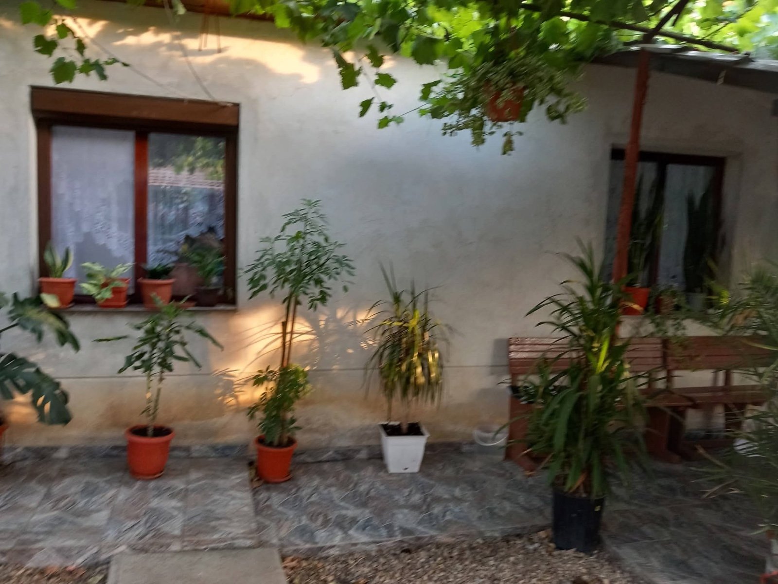 Casă de vânzare URGENT Cadea bihor – fotografia 6