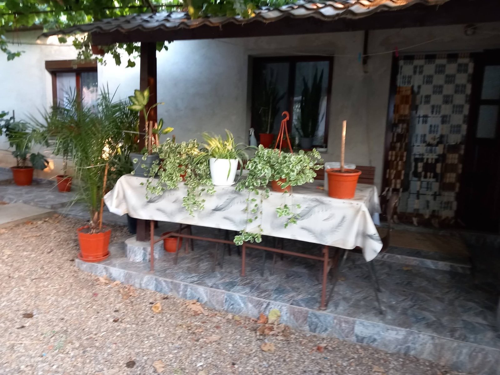 Casă de vânzare URGENT Cadea bihor – fotografia 2
