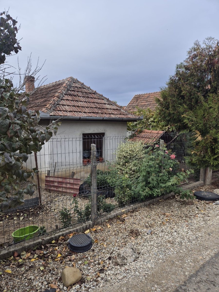 Casă de vânzare URGENT Cadea bihor – fotografia 9